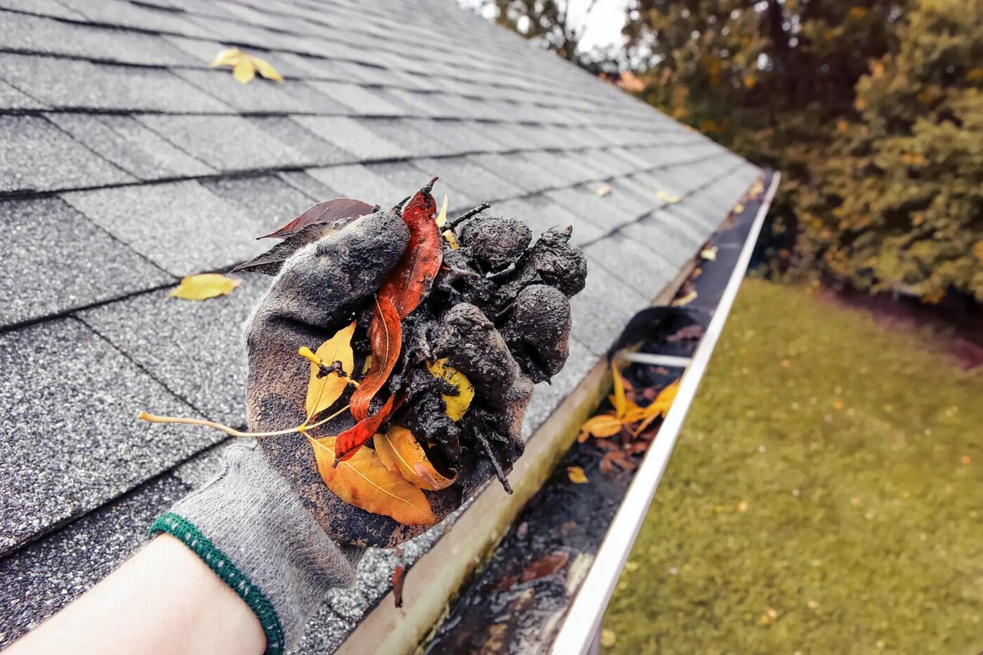 Gutter Cleaning Ocean Isle Beach NC